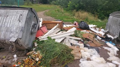 У Самборі засмічують територію біля смітників (ФОТО)