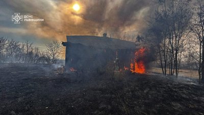 На Львівщині за добу зафіксували 189 пожеж