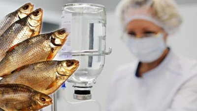 На Львівщині медики рятують 19-річну дівчину хвору на ботулізм