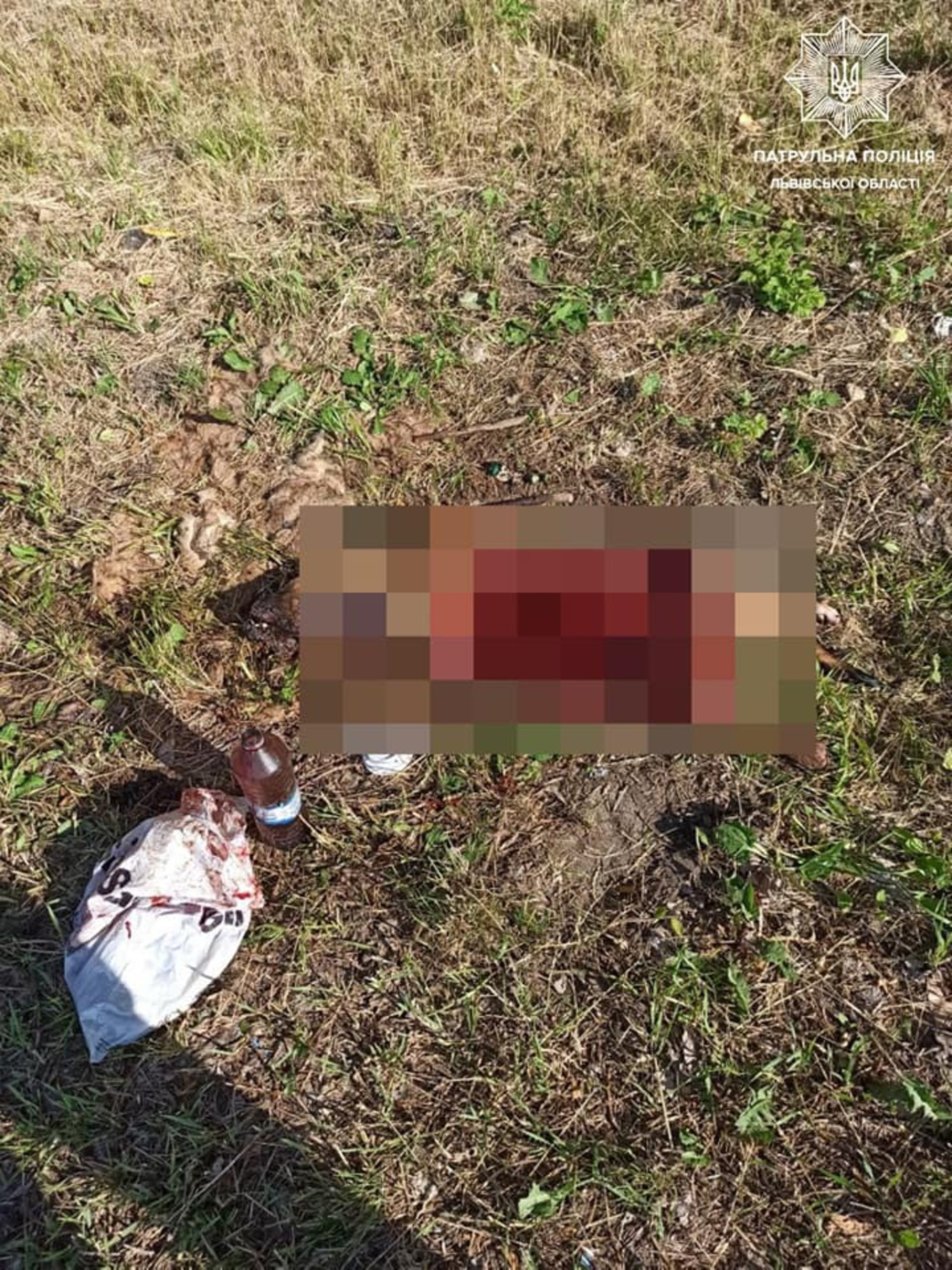 фото патрульна поліція Львівщини