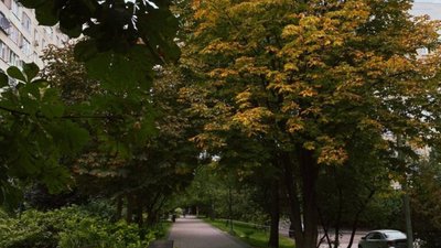 Львів перетворився на осінню казку