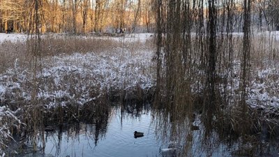 У Львові в озері виявили тіло молодої дівчини