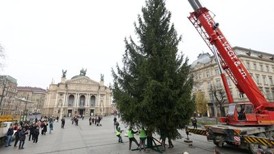 У центрі Львова встановили головну ялинку