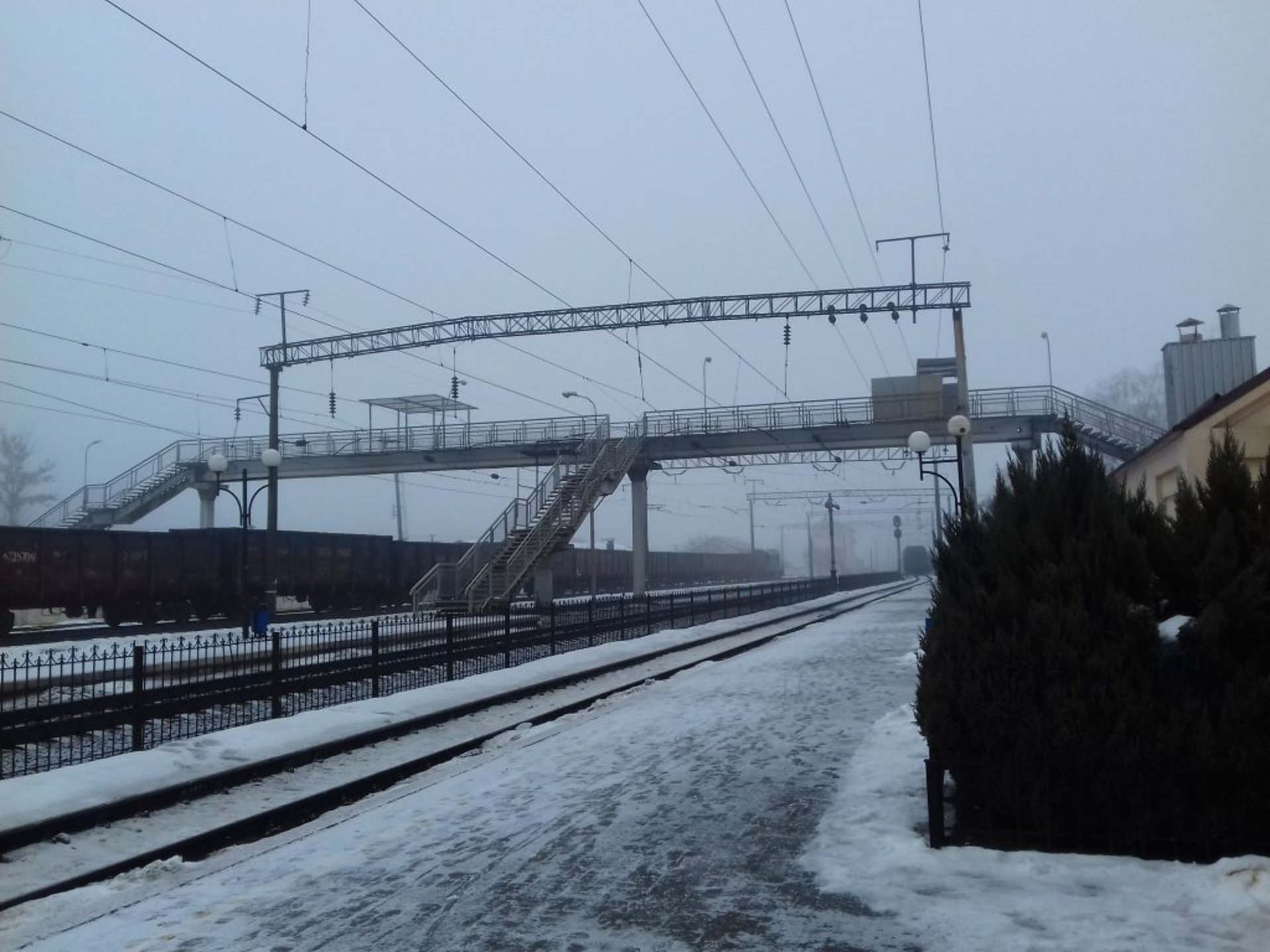 Фото: НПУ