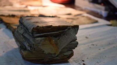 У лісах на Західній Україні відкопали невідомі звіти УПА (ФОТО)