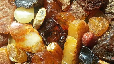 Львів'янина спіймали на кордоні з дорогоцінним камінням