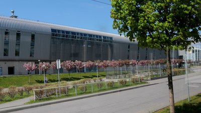 Україна відновить міжнародне авіасполучення з 15 червня, - Криклій