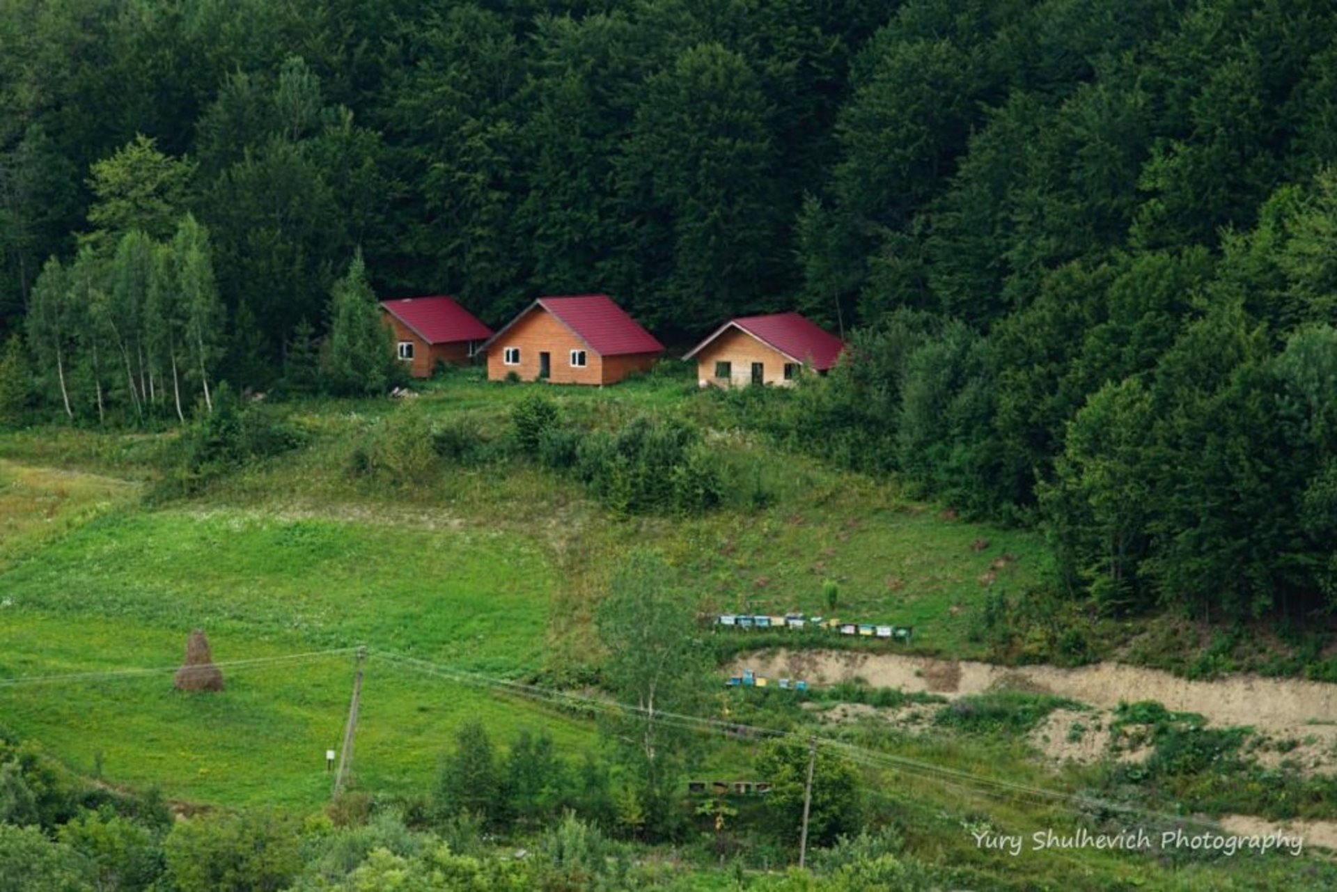 Фото Yury Shulhevich/УНІАН