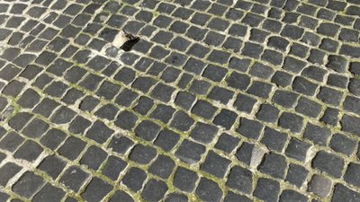 У центрі Львова випадає бруківка (ФОТО)