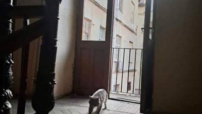На Львівщині у офісі Тимошенко знайшли шпигуна