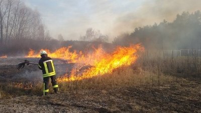 На Львівщині за минулу добу рятувальники ліквідували 2 пожежі торфу та 3 загорання сухостою