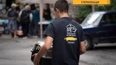У Домівці врятованих тварин безкоштовно стерилізуватимуть котів та собак
