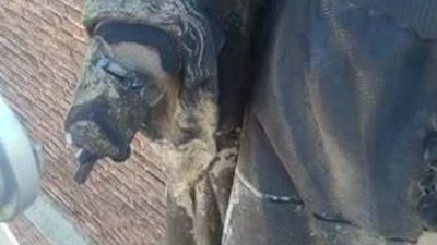 У Львові відреставрують скульптуру святої Єлизавети