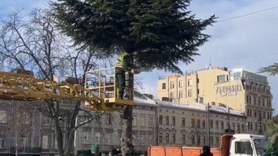 Головну різдвяну ялинку Львова розбирають (ВІДЕО)