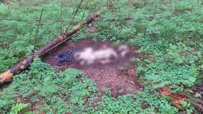 У Карпатах прикордонники виявили рештки двох людей