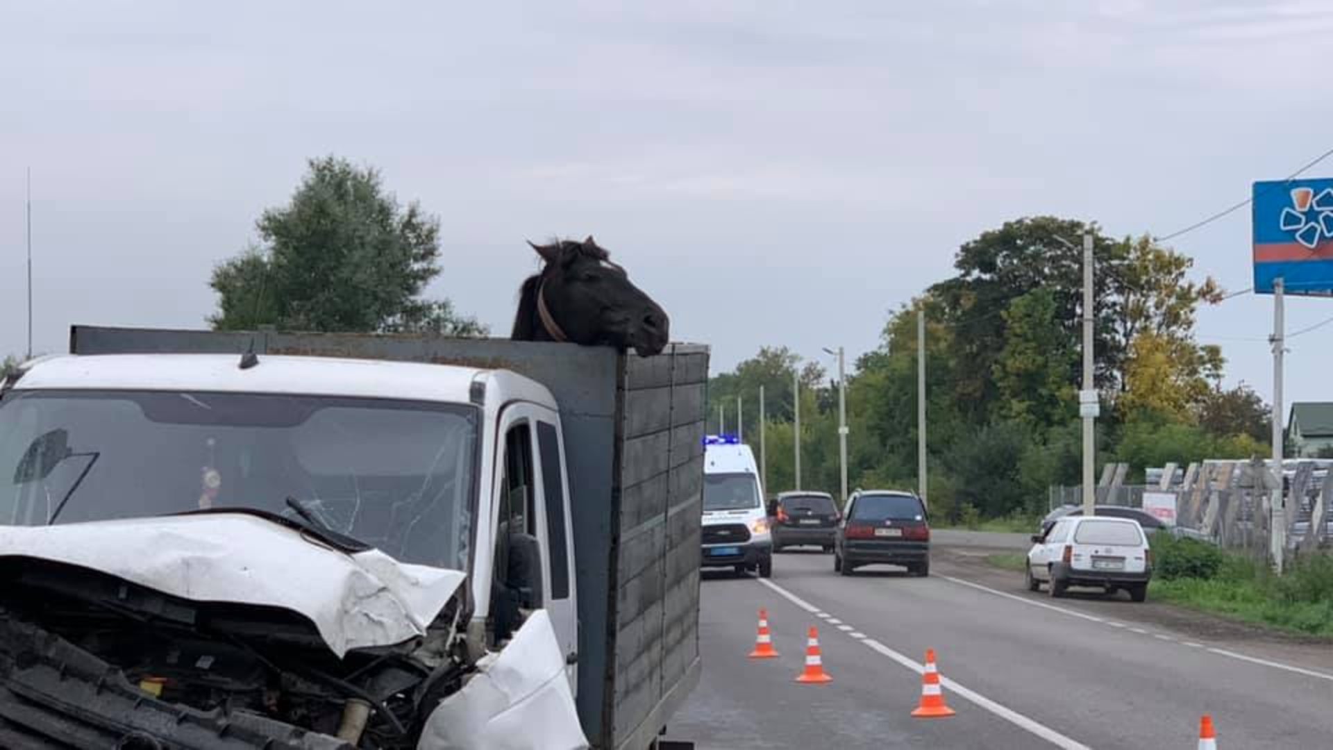 На Львівщині сталася моторошна ДТП за участі трьох авто, фото ДК-Захід