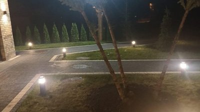 У Львові у спальному районі хаотично висадили дерева (ФОТО)