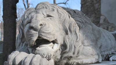 У Львові підприємці влаштують пікети під стінами Ратуші