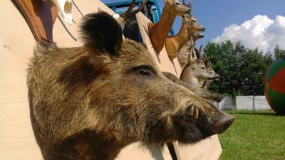 На Львівщині, на території ландшафтного парку палацу баронів Гределів, зберуться мисливці з різних країн