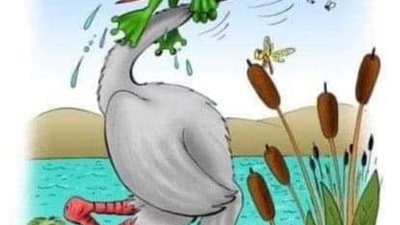 Як Мінфін Гончарука душить місцеве самоврядування (КОЛАЖ)