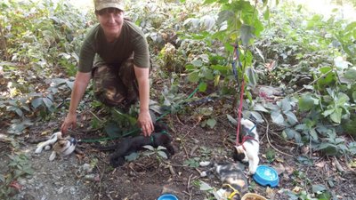 У Львівській області збирають кошти на операцію лікарю, яка була у АТО/ООС