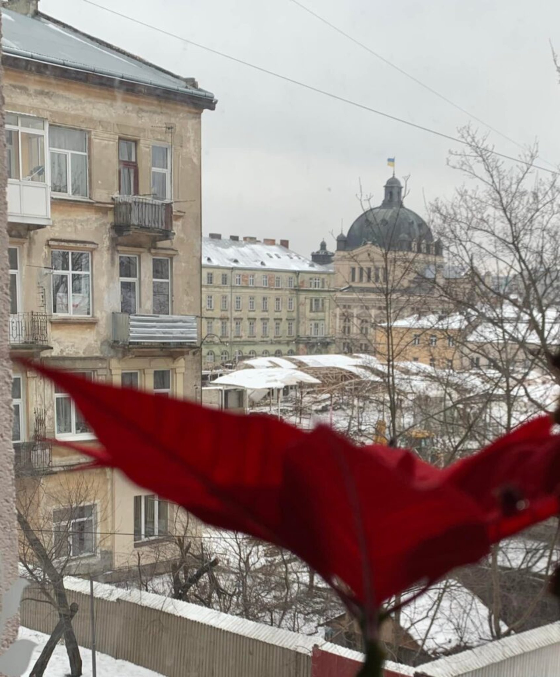 У Львові вирішили знести частину ринку «Добробут», фото Соломія Ганущин