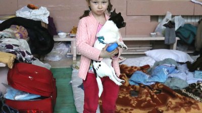 Львівська обласна спортивна школа розгорнула понад півсотні місць для переселенців