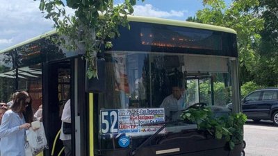 У Львові до свята прикрасили маршрутки (ФОТО)