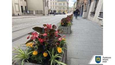 У Львові на площі Катедральній висадили квіти (ФОТО)
