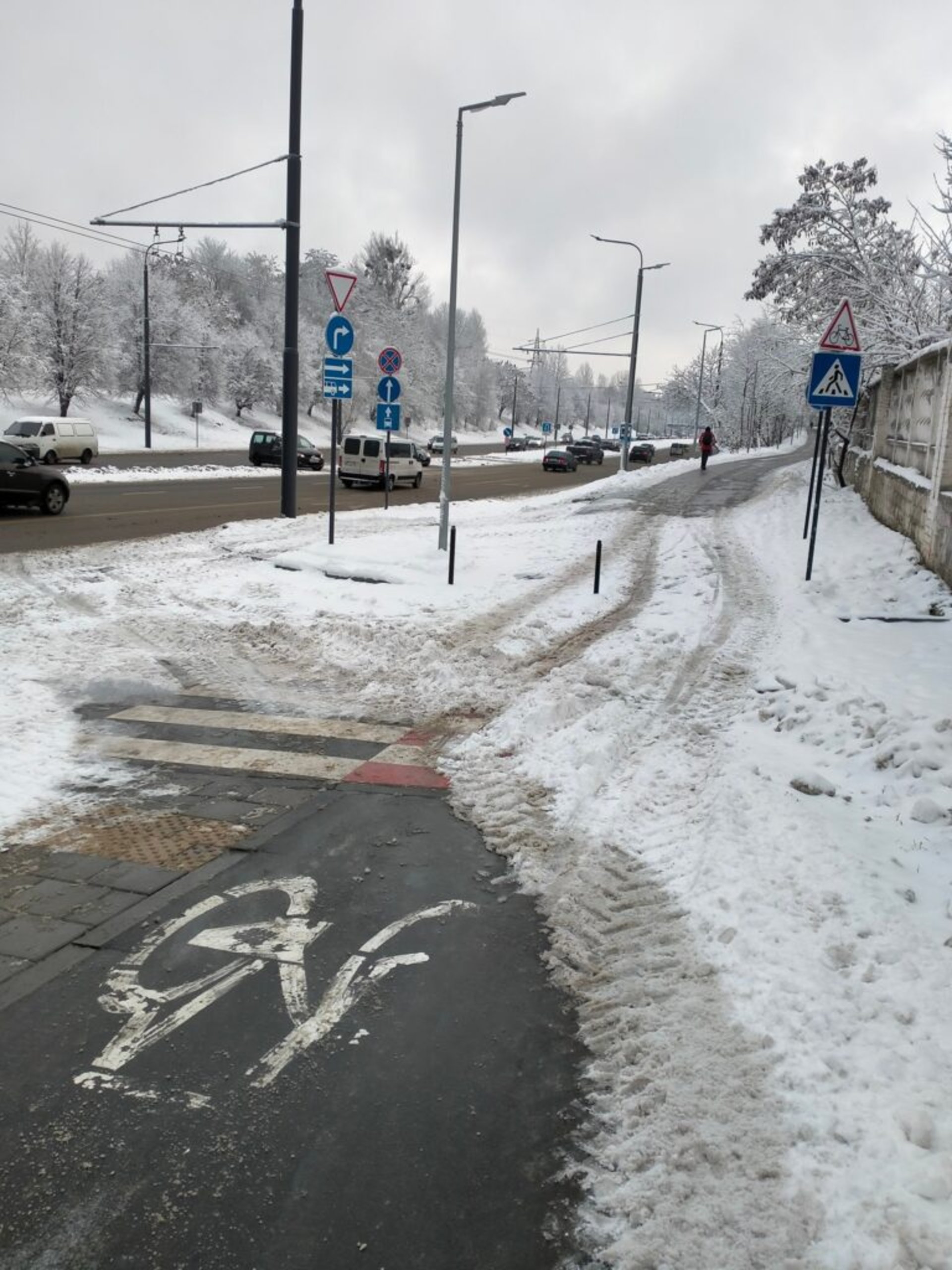 У Львові просять розчистити велодоріжки від снігу, фото ГЛМЛ