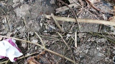 У Львові знайшли останки людських ніг (ФОТО)