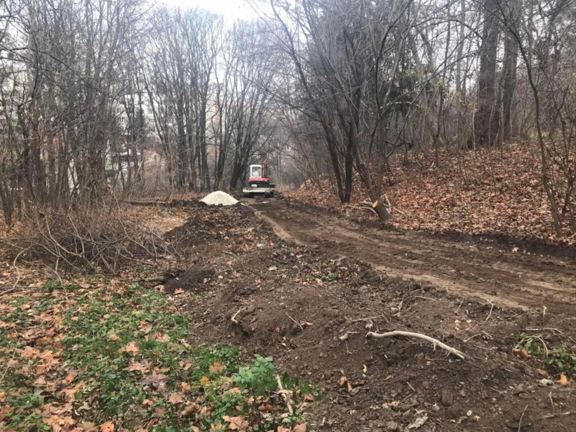 У Горіховому гаю почали облаштовувати доріжку