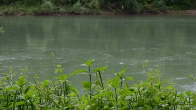 На кордоні з Угорщиною виявили тіло 23-річного українця