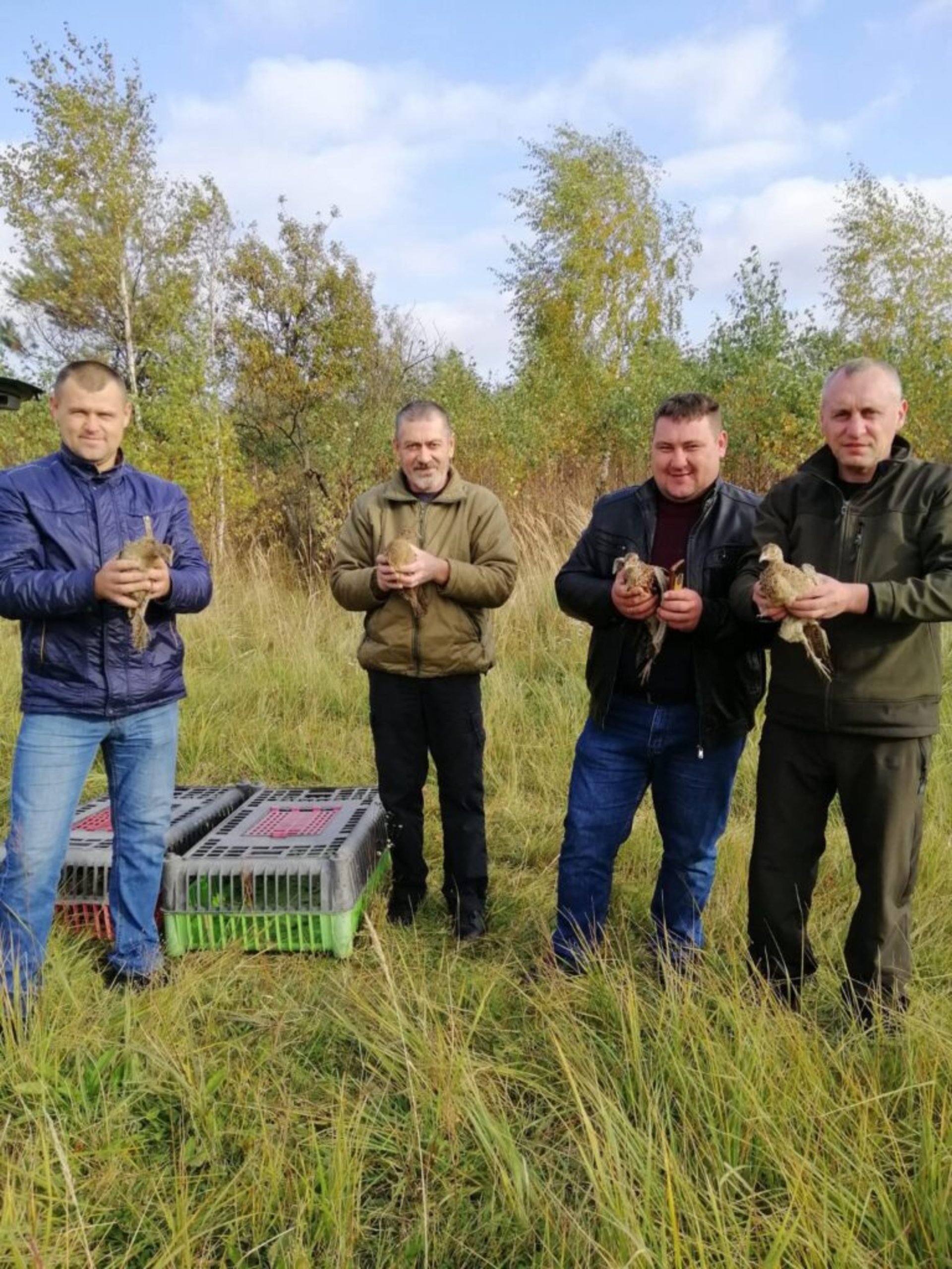 70 особин фазана-молодняка випустили лісівники та мисливці у Жовківському лісгоспі