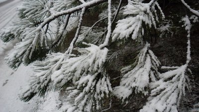 Завтра в Україні зіпсується погода