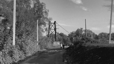 МВС повідомило подробиці вбивства 11-річного хлопця на Львівщині