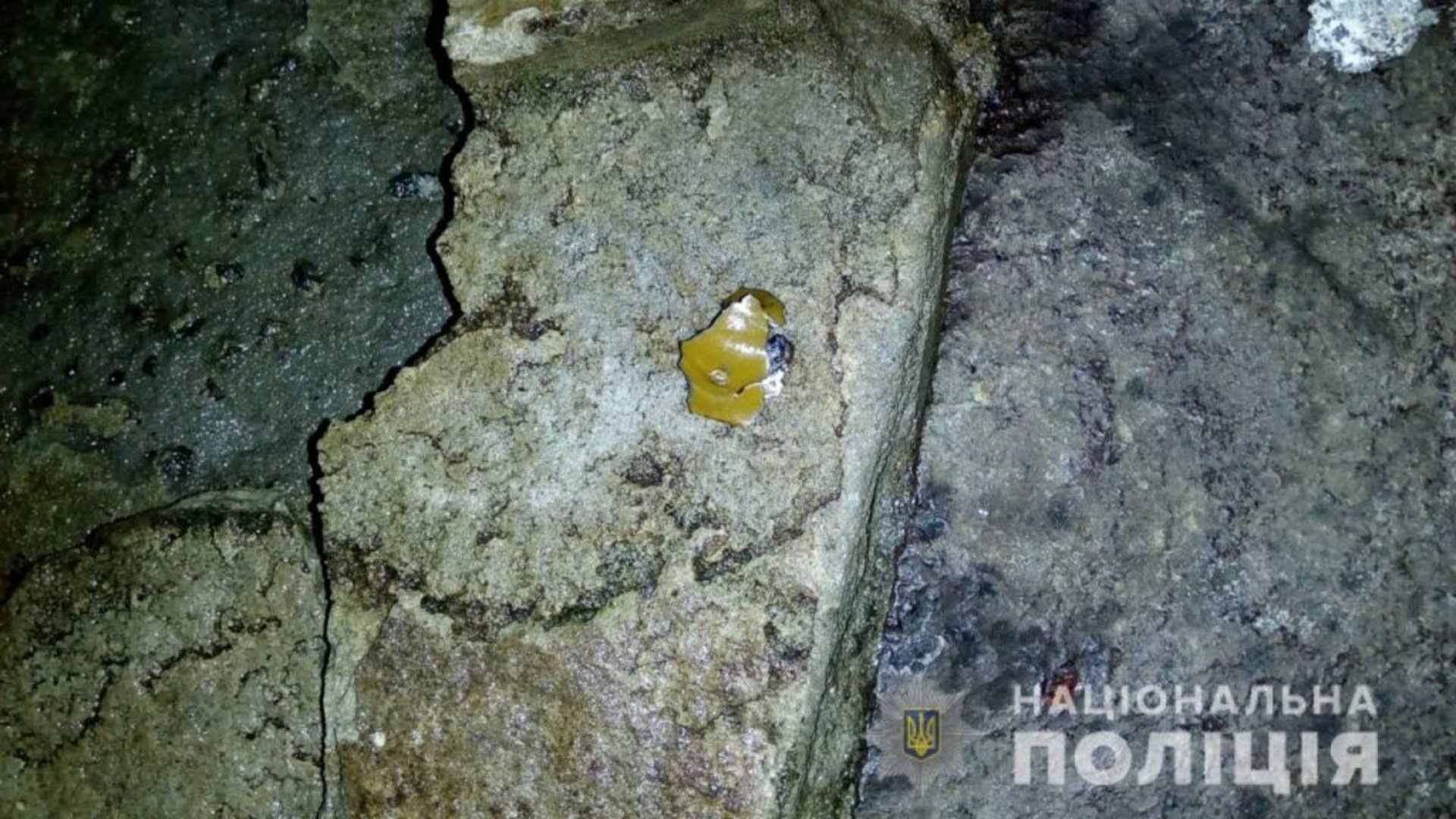 Фото: ГУ Нацполіції у Львівській області