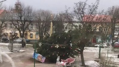 У Буську впала ялинка (ФОТО)
