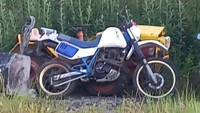 На кордоні з Польщею водій вантажівки намагався ввезти товар як гуманітарну допомогу (ФОТО)