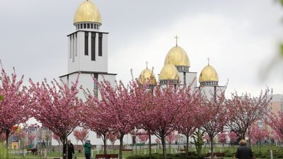 У Львові на Сихові зацвіли сакури (ФОТО)