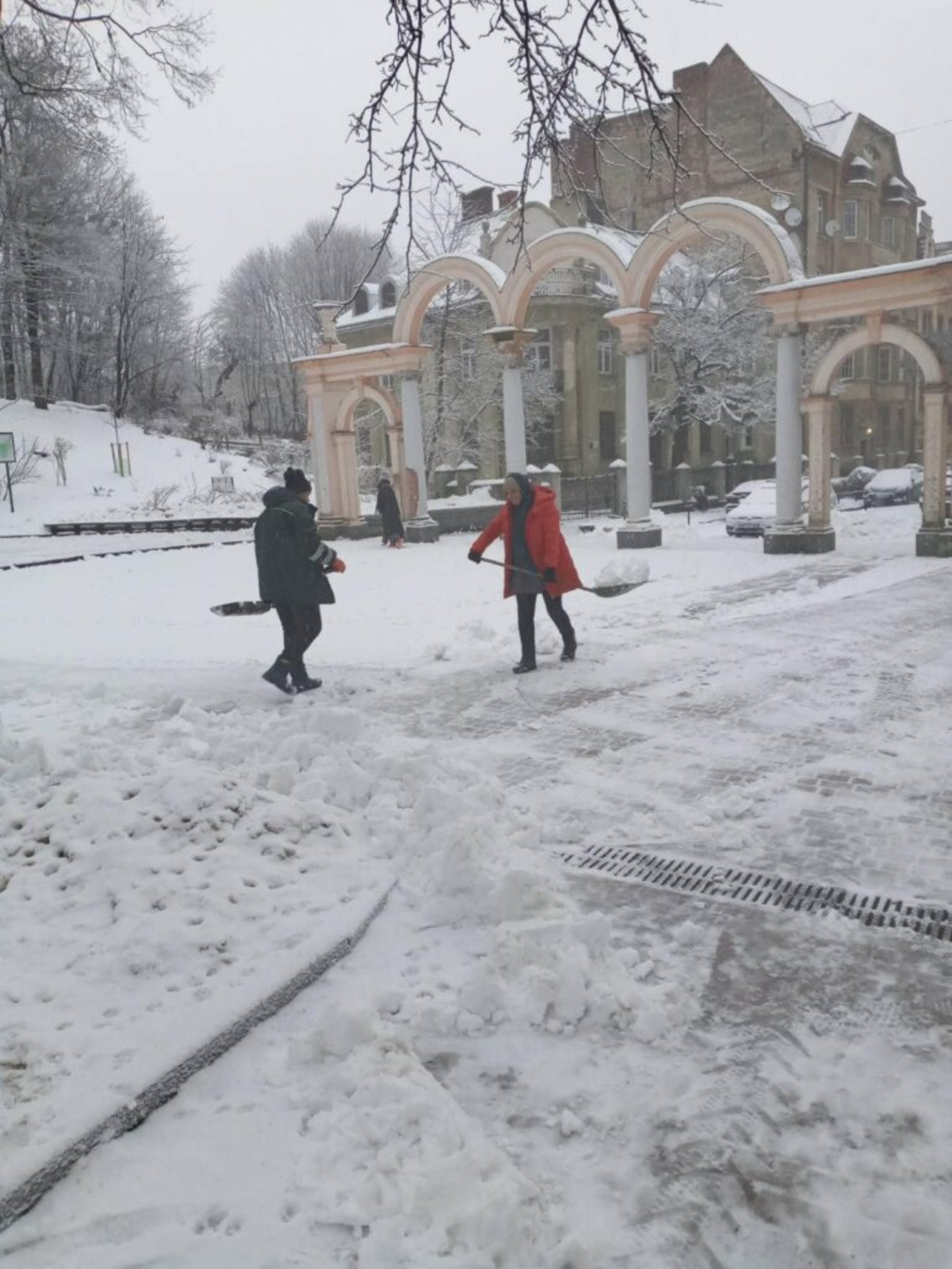 У Львові закликають уникати прогулянок у парках, фото Стрийського парку