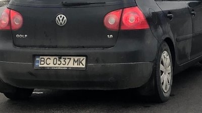 Біля Львова автомобіль на пішохідному переході збив собаку (ФОТО)