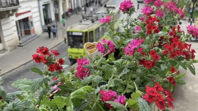 У Львові нагородили власників найгарніших квітучих балконів та підвіконь