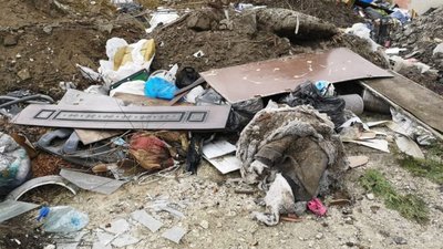 Біля Львова у лісі викидають сміття
