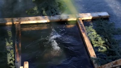 У Дрогобичі назвали водойми, де можна пірнати на Водохреща