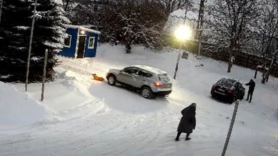 На Львівщині водій двічі переїхав собаку автівкою