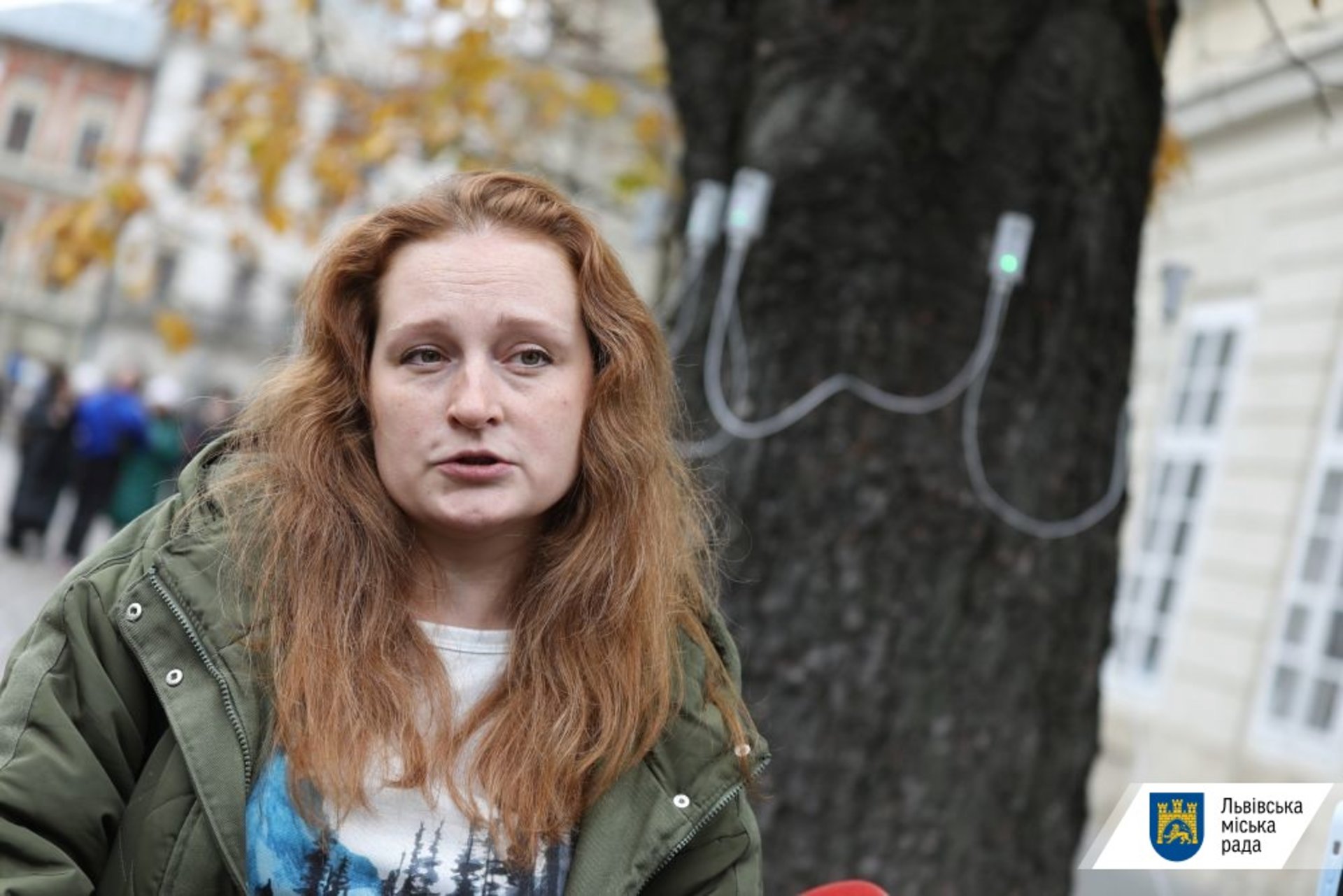 У Львові закупили імпульсний томограф для виявлення аварійності дерев