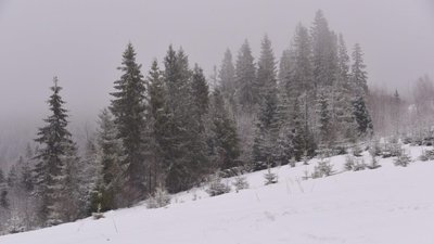 На Львівщині у горах зберігається значна сніголавинна небезпека