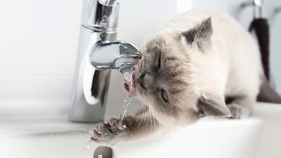 У Львові на пр. Чорновола відключили водопостачання