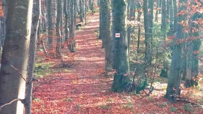 Новий туристичний маршрут завдовжки у 25 кілометрів з’явився на Львівщині